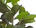 PLANTA ARTIFICIAL HOJAS DE VIOLÍN GRANDE VERDE (1.45mts)