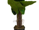 PLANTA ARTIFICIAL HOJAS GRUYA (2mts)