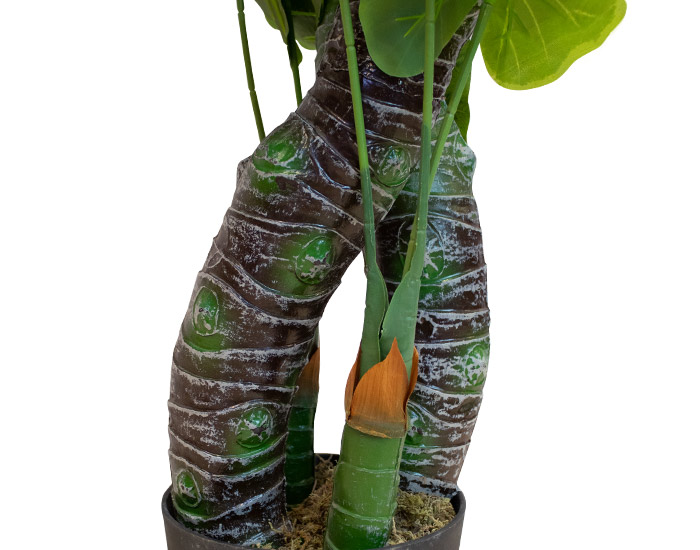 PLANTA ARTIFICIAL ARUM TARO (1.7mts)