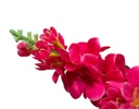 PLANTA ARTIFICIAL FLORES CORAZÓN (90cm)