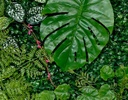 FOLLAJE ARTIFICIAL PLANTAS CONSERVADO (40×60cm)