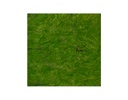 FOLLAJE ARTIFICIAL GREEN BOTTLE CONSERVADO (1M²)