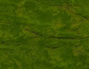 FOLLAJE ARTIFICIAL VERDE PANTANO (1M²)