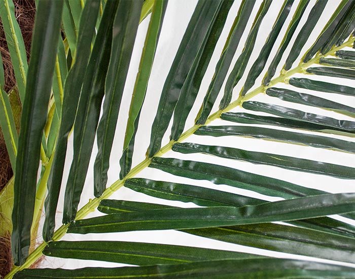 PALMERA DECORATIVA MADRID EXTRA GRANDE (5mts)