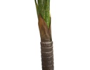 PALMERA ARTIFICIAL YITSU VERDE 3 TRONCOS (3mts)