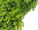 FOLLAJE ARTIFICIAL FERN MTK (1M²)