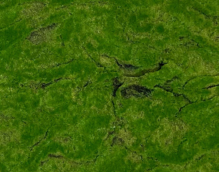 FOLLAJE ARTIFICIAL GREEN BOTTLE CONSERVADO (1M²)