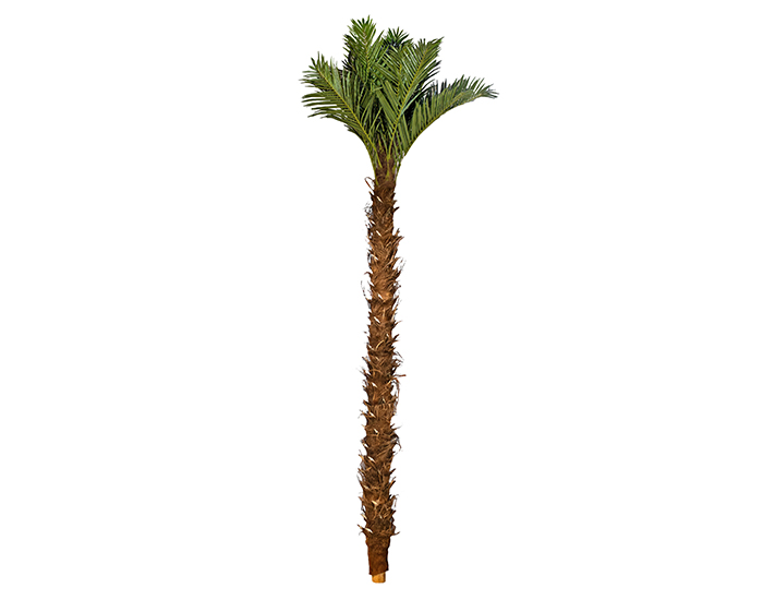 PALMERA DECORATIVA BARZA CON TALLOS EXTRA GRANDE (5mts)