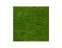 FOLLAJE ARTIFICIAL GREEN BOTTLE CONSERVADO (1M²)