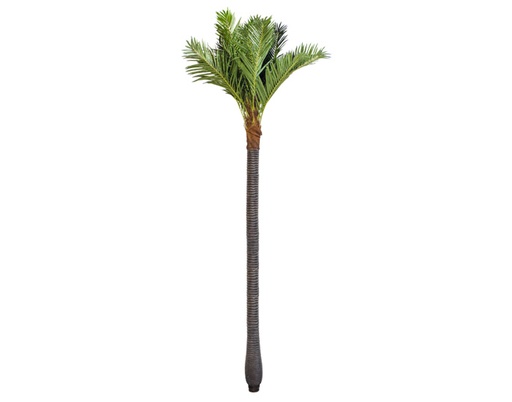 [MCH.PLT.0113] PALMERA DECORATIVA MADRID EXTRA GRANDE (5mts)