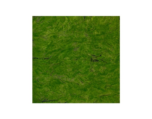 [MCH.FOL.0020] FOLLAJE ARTIFICIAL GREEN BOTTLE CONSERVADO (1M²)