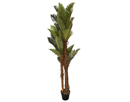 [MCH.PLT.0168] PALMERA ARTIFICIAL KIMI VERDE 3 TRONCOS (1.8mts)
