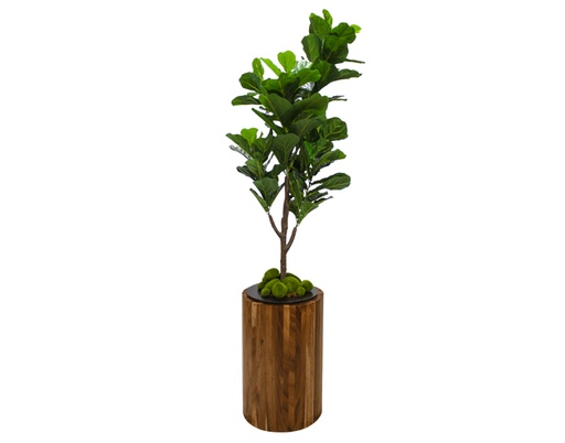 [MCH.FLO.0068] EXÓTICO EVER VERDE CON BASE GRANDE DE PAROTA (170×41cm)