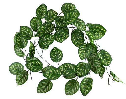 [MCH.PLT.0162] ENREDADERA COLGANTE IVY VERDE Y BLANCO (3mts)