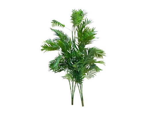 [MCH.PLT.0018] PLANTA KWAI DE BAMBÚ (2 PZAS)