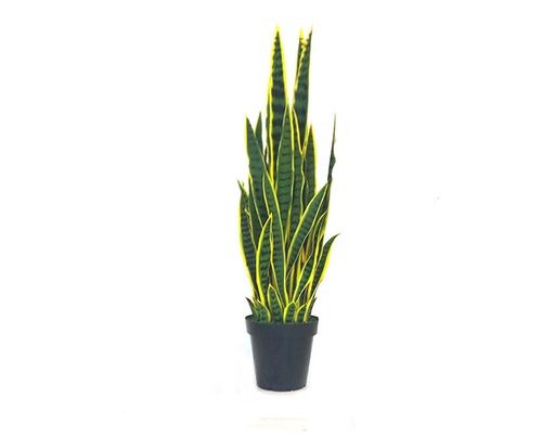 [MCH.PLT.0007] PLANTA ORQUÍDEA TIGRE (1.1mts)
