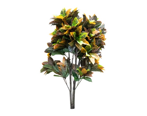 [MCH.PLT.0020] PLANTA SPRINKLE JIN RONG (1.5mts)